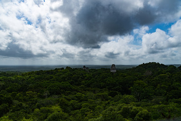 Various Details of the Ruins of Tikal 