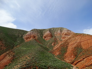 Red rocks overgrown with green grass