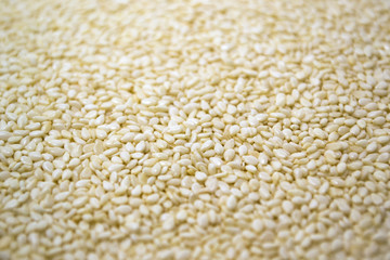 Scattered, white sesame seeds on a white background. Sesamum.