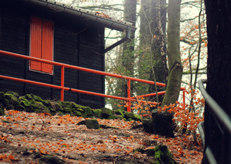 Chalet et cabane dans les bois - 186144399