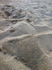 Dunas de arena oscura 