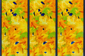 Stained glass with autumn motifs.