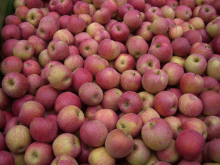 Äpfel Fuji