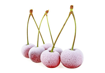 Group of frozen cherries on a white background