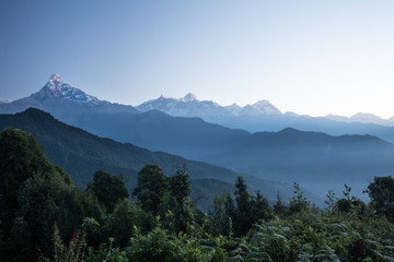 Machapuchare, morning in the Himalayas