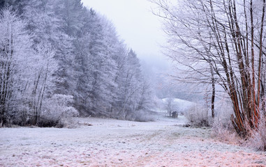 Winter scene in Tuhinj valley in Slovenia