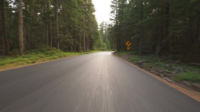 Mount Rainier National Park Driving Template Rain Forest Washington USA