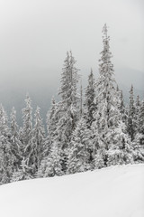 Rarau Mountains during winter covered in snow
