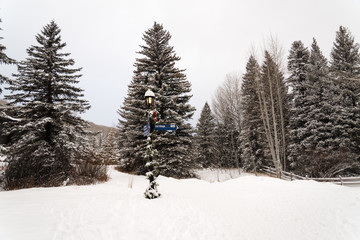 A snow covered view of a path and trees in Vail, Colorado on Christmas Day. 