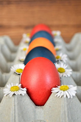 Easter eggs and daisies