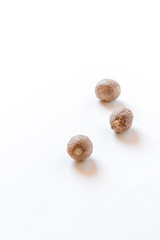 Nahaufnahme von drei Muskatnüssen, Freisteller