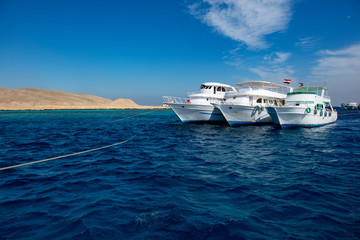 łodzie turystyczne zacumowane przy rafie u brzegu morza czerwonego