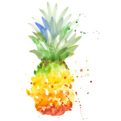 Exotic pineapple healthy food in a watercolor style isolated. Full name of the fruit: pineapple. Aquarelle wild fruit for background, texture, wrapper pattern or menu. - 186156756