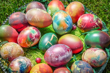 Colorful Easter Eggs on Grass