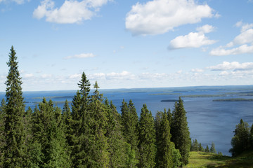 Obraz premium Järvi maisema Kolilta, lake landscape on the mountain Koli, summer 