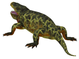 Eryops Dinosaur Tail - Eryops was an semi-aquatic ambush predator much like the modern crocodile and lived in Texas, New Mexico and the Eastern USA in the Permian Period.