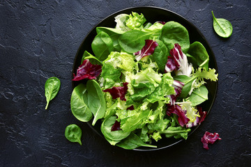 Mix salad leaves.Top view with copy space. - obrazy, fototapety, plakaty