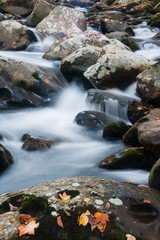 Fototapeta na wymiar Pigeon Creek in Great Smoky National Park in the fall.