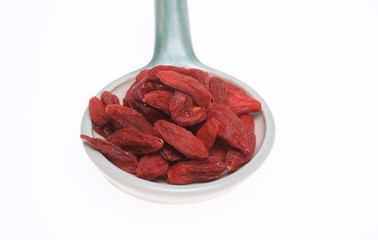 Goji, Gojibeeren, Gemeine Bocksdorn, Lycium barbarum oder Chinesische Wolfsbeere genannt, Heilpflanze
