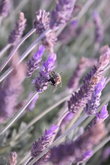 Zumbando al trabajar