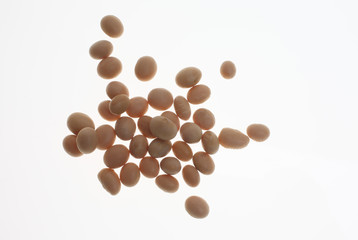 Sojabohnen, Glycine max, aus Bioanbau