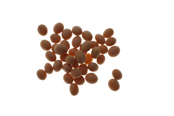 Sojabohnen, Glycine max, aus Bioanbau