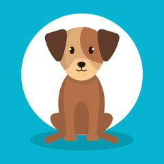 cute dog isolated icon vector illustration design