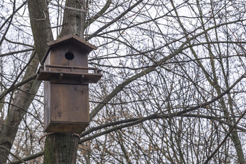 Wooden birdhouse with bird feeder hanging on the tree in winter city park