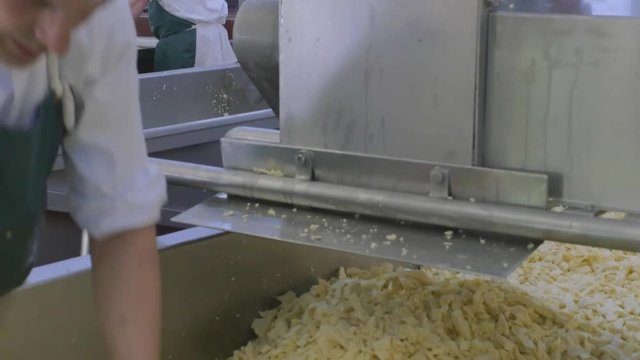 Factory employees milling fresh cheese for next stage of process