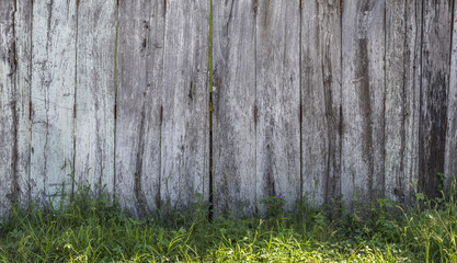 Old wood wall background. Outdoor with day light. Green grass below.