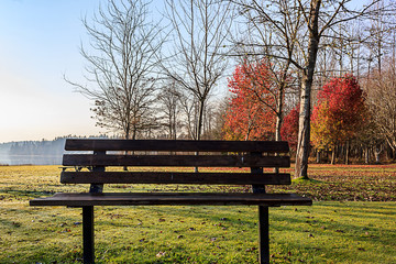 fall leaves and bench near lake