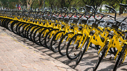 Groupof Ofo bike The yellow bike in bike sharing project Under the Government's policies in developing the Smart city of Phuket.