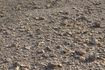 a beautiful rock in jaisalmer rajasthan india