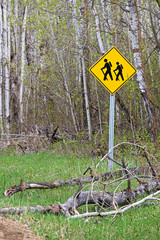 A hiking trail crossing sign at the edge of a forest