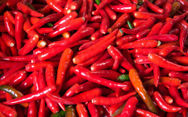 Hot Spicy chilli peppers background, select focus.