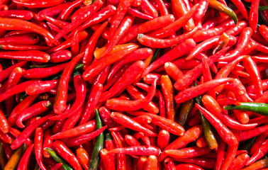 Hot Spicy chilli peppers background, select focus.