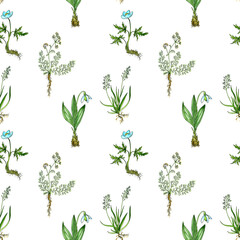 Fototapeta na wymiar seamless pattern with drawing plants