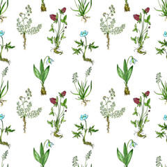 Naklejka na ściany i meble seamless pattern with drawing plants