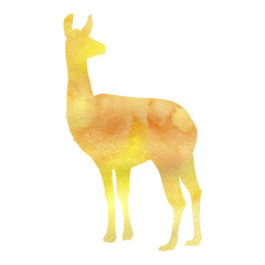 watercolor silhouette of lama