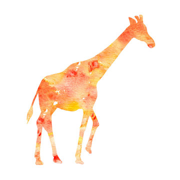 watercolor silhouette of giraffe