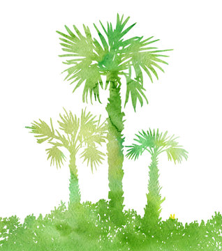 watercolor landscape with palm trees