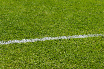 Corner of football field. green grass