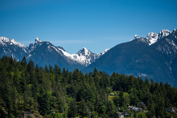 houses on the slop of hill covered with trees and snow covered mountains on the background