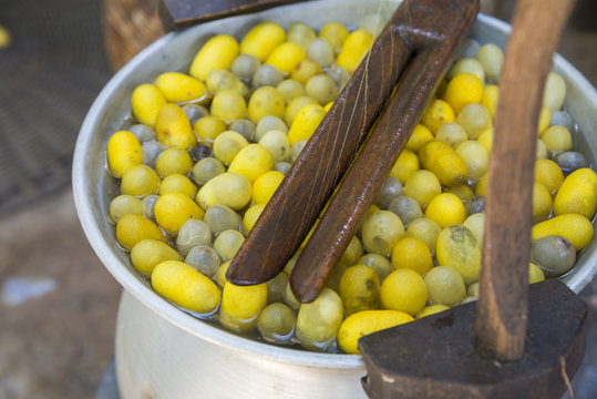 Boiling cocoon in a pot to making of silkworms cocoon thread for popular Thai silk product