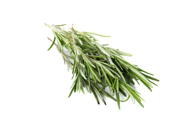 Fototapeta premium rosemary isolated on white