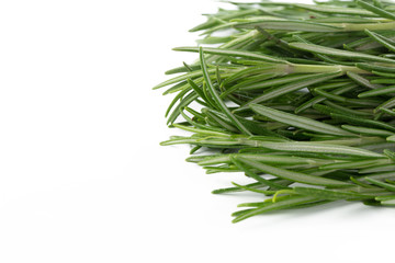 rosemary isolated on white