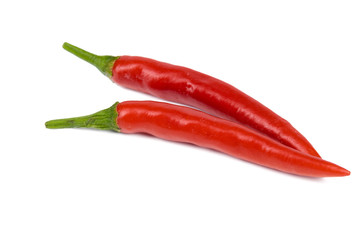 hot peppers isolated