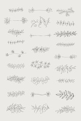 Decoration elements set on grey background. Floral ornament. Vector design