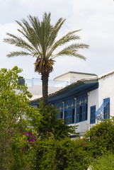 Fototapeta na wymiar Sidi Bou Said - typical building with white walls, blue doors and windows