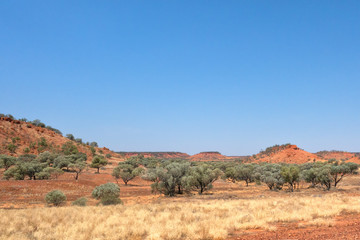 Red hills and shrubs in Outback Queensland
